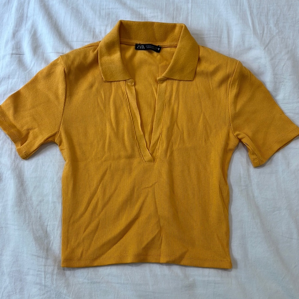NEVER WORN Zara Collared Crop Top